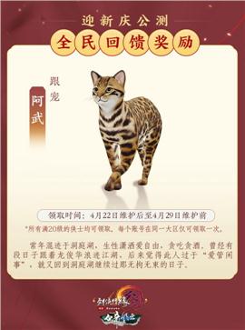 天子剑天龙八部私服